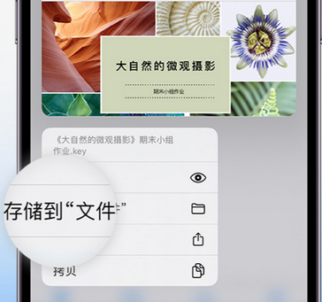 城区apple维修中心分享iPhone文件应用中存储和找到下载文件