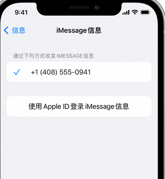 城区apple维修iPhone上无法正常发送iMessage信息 