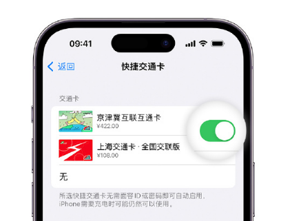 城区apple维修点分享iPhone上更换Apple Pay快捷交通卡手绘卡面 